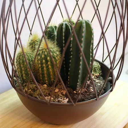 Apartamento Raffinato Vicino